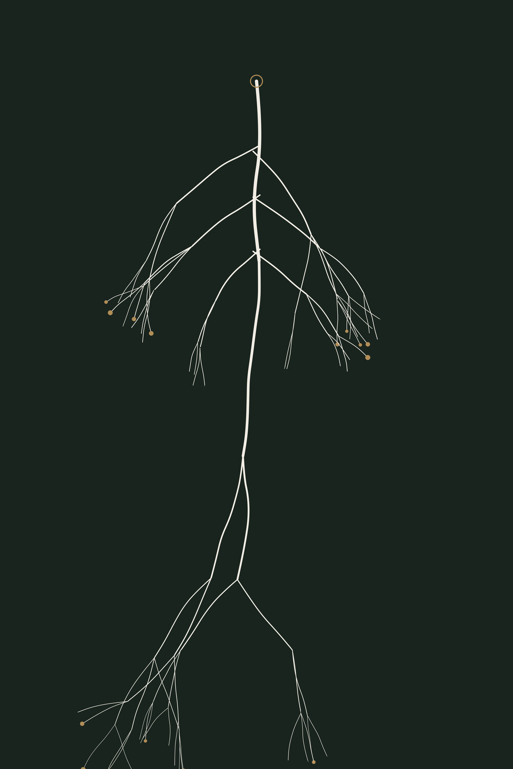 Taproot — Rootbound, Pl. I