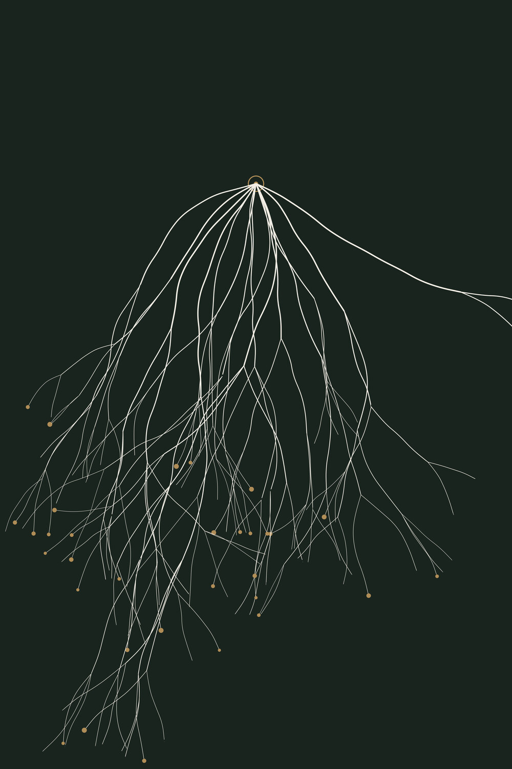 Mycelium — Rootbound, Pl. II