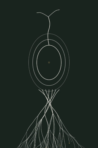 Bulb — Rootbound, Pl. III