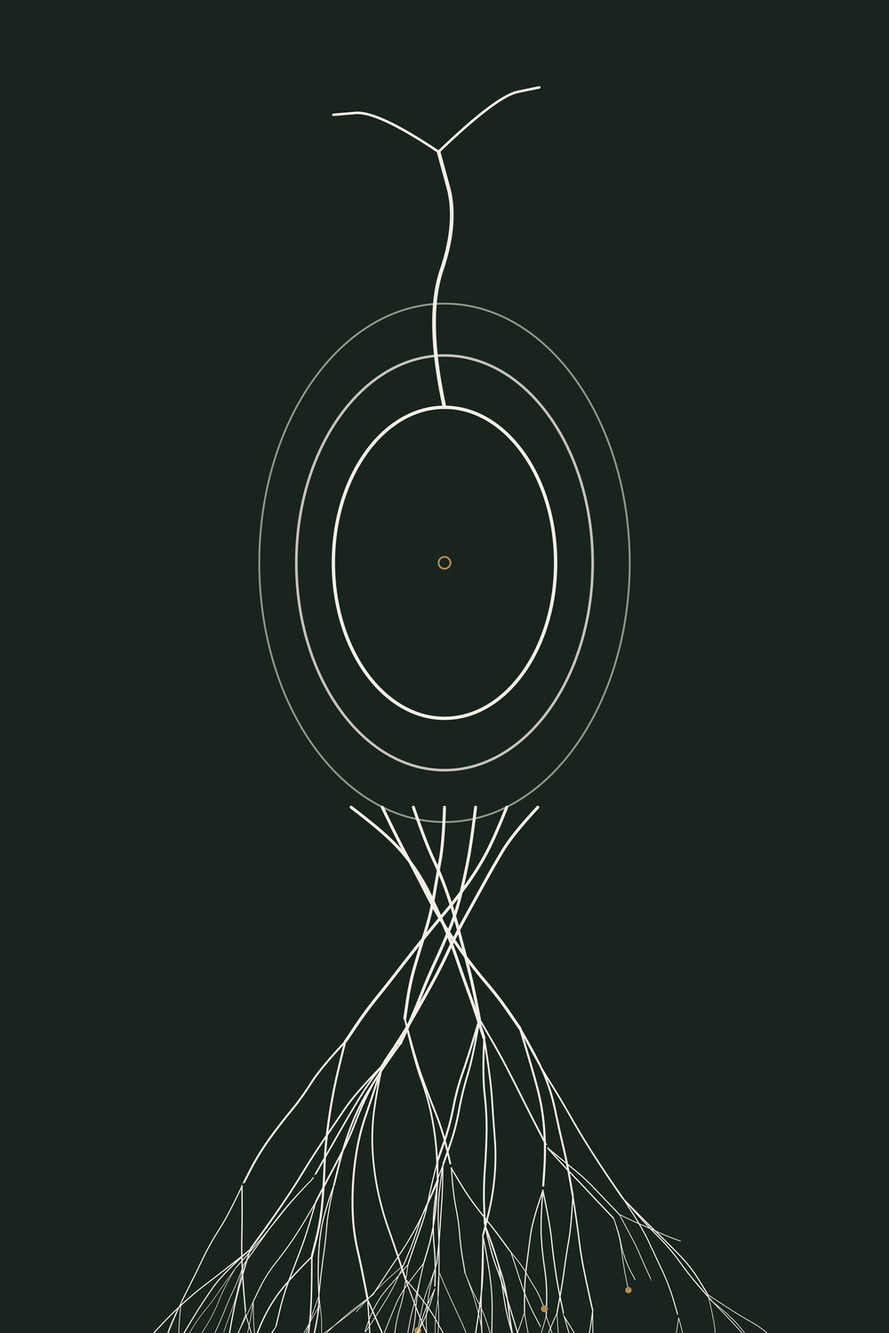 Bulb — Rootbound, Pl. III
