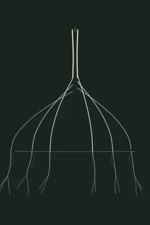Mangrove — Rootbound, Pl. IV