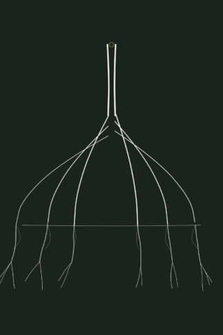 Mangrove — Rootbound, Pl. IV